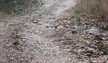 全州咸水乡村爆料事件最新,揭开神秘面纱，探寻真相背后