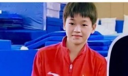 刘凯爆料奥运冠军视频播放,奥运冠军幕后训练瞬间，视频播放引发热议